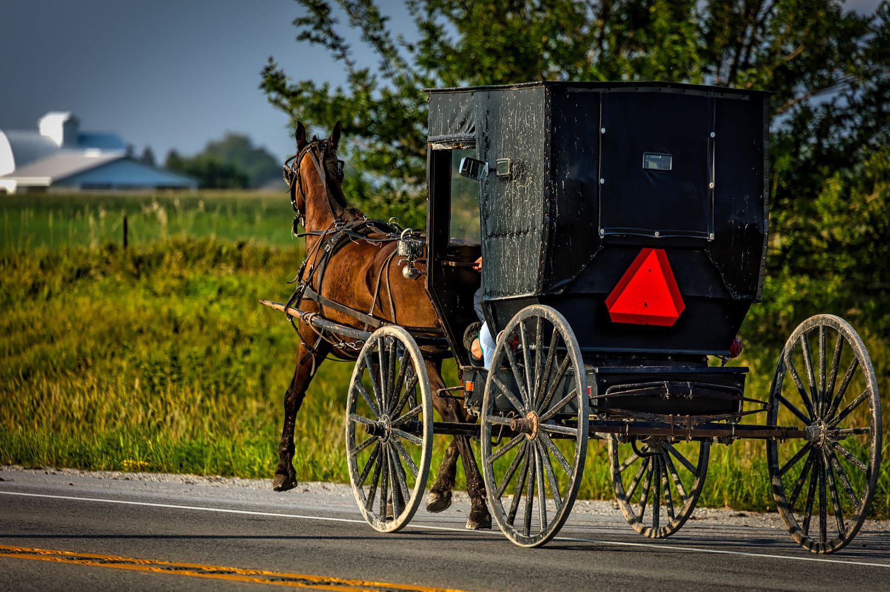 Second Amish woman dies after crash