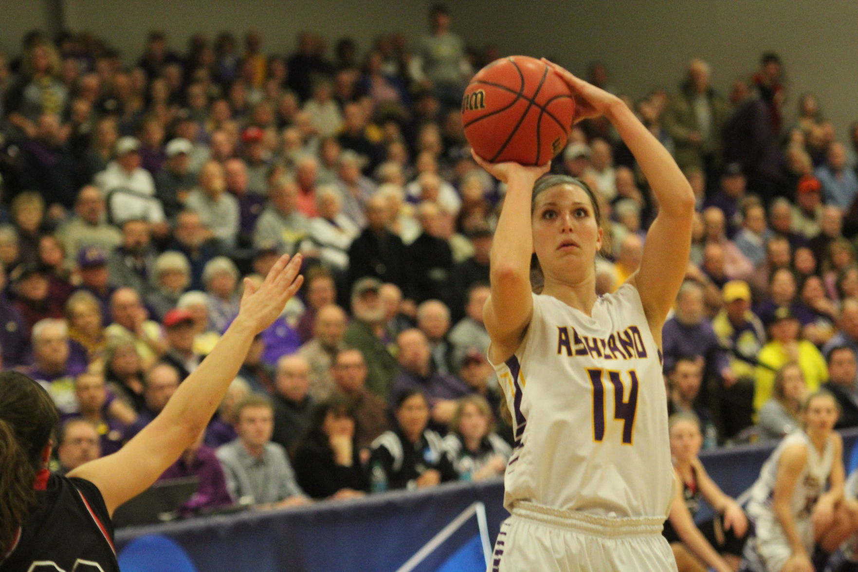 AU Hall of Fame, Student-Athletes of the Year honorees named