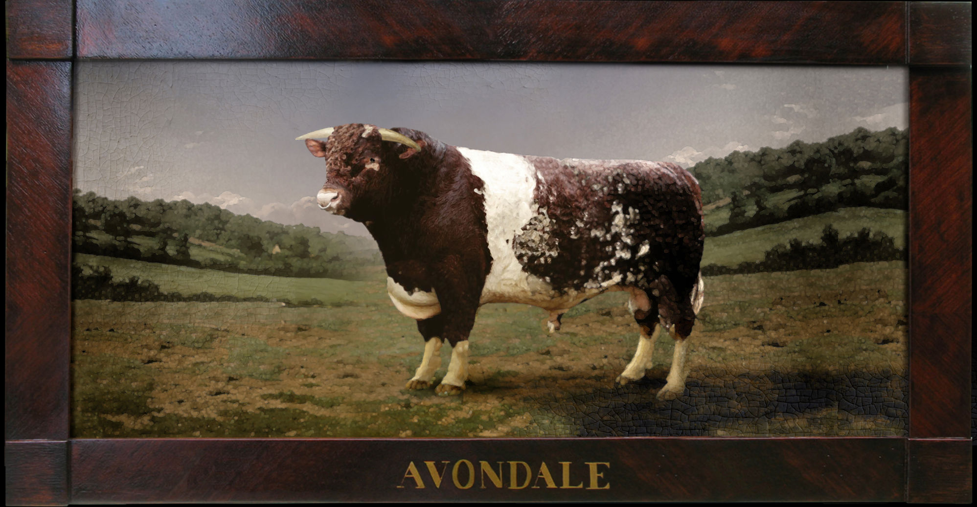 Richland’s legacy of world-class cattle: Avondale and Maxwalton Farm