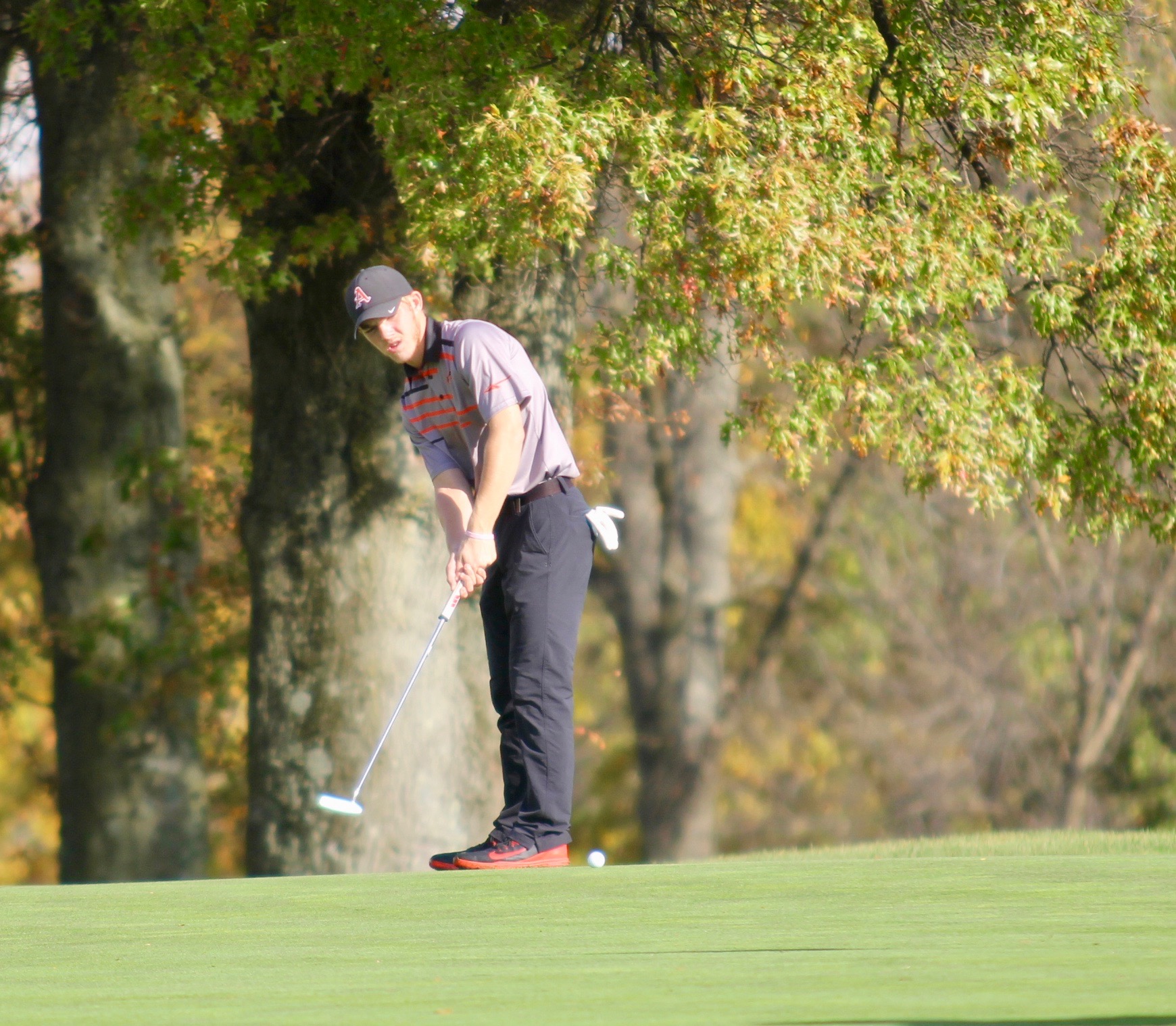 GALLERY: Division I State Golf Tournament