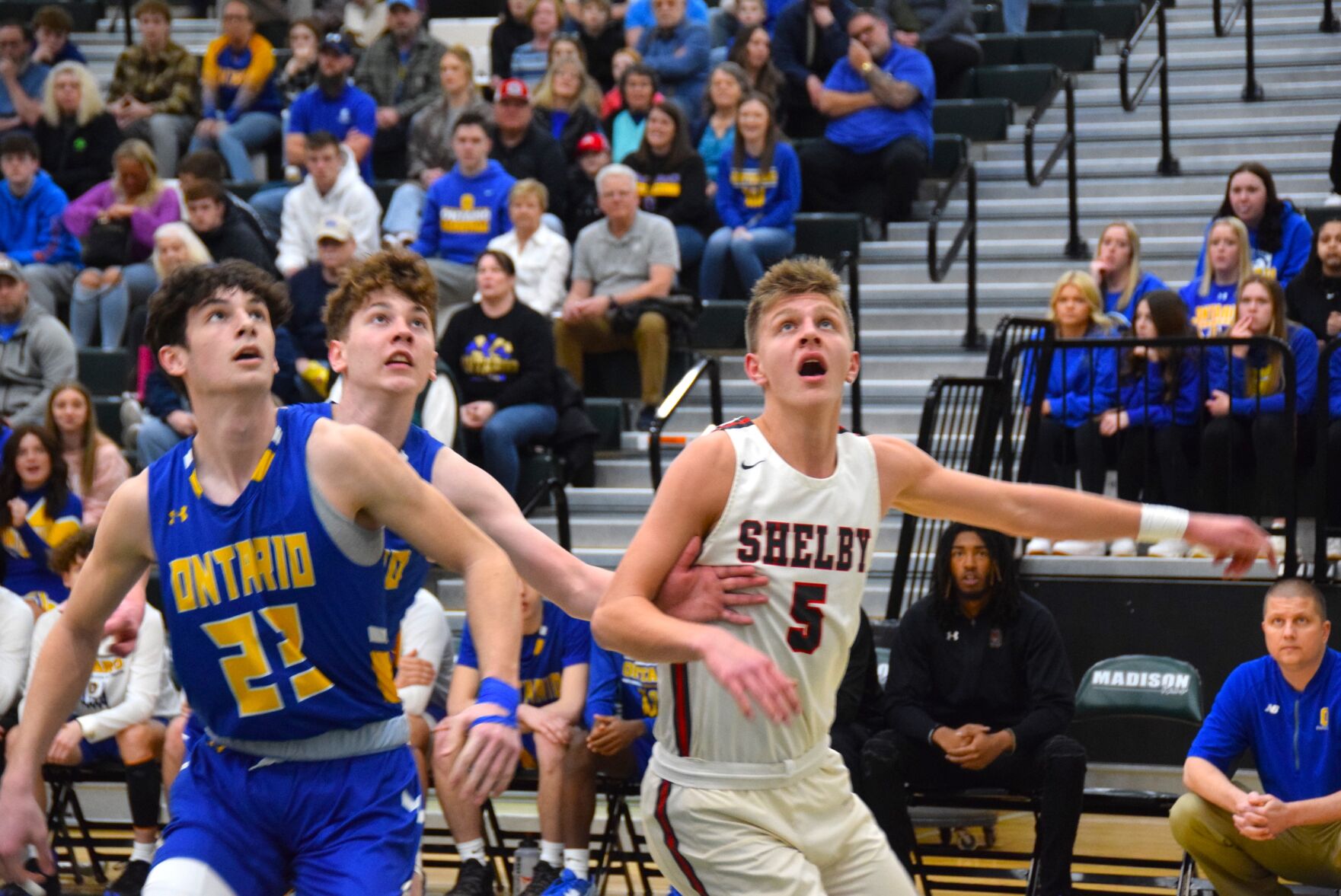 Mansfield Sr., Lex, Shelby, Crestview, Lucas, Col. Crawford ready for ...