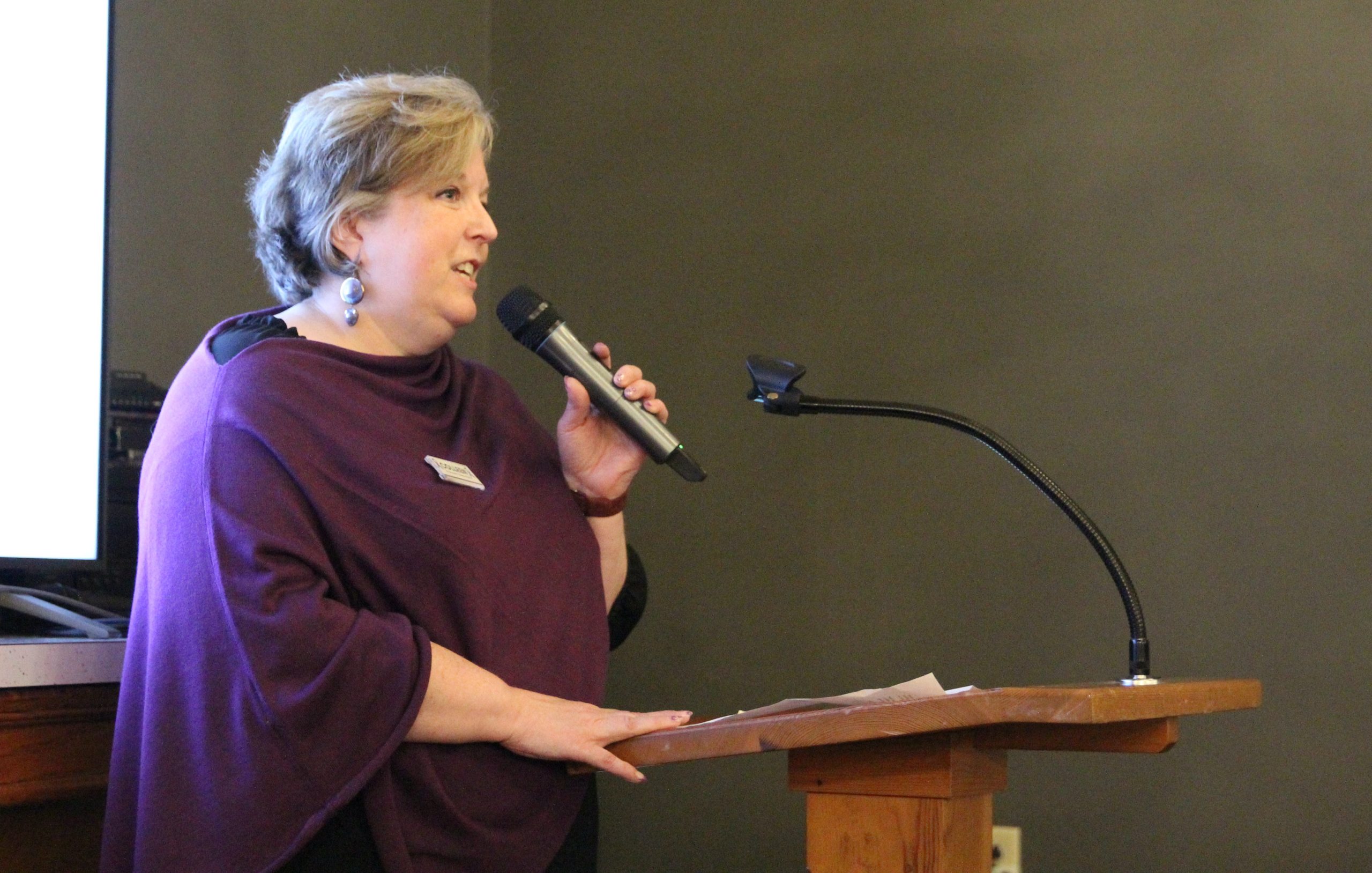 Domestic violence shelter often at capacity, director says