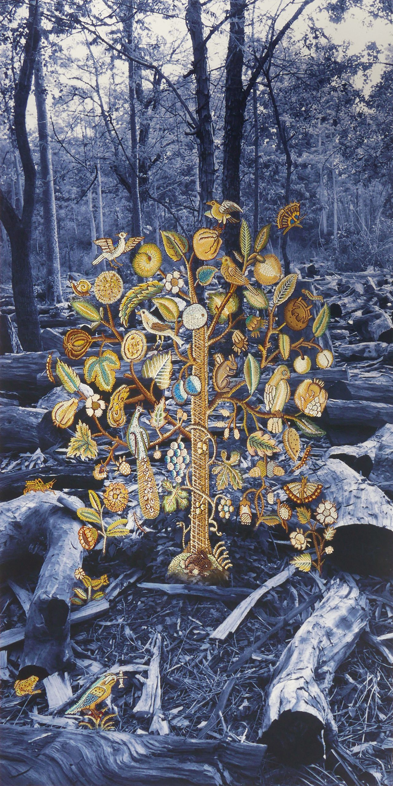 Tree-of-Life_Nepal-2020-