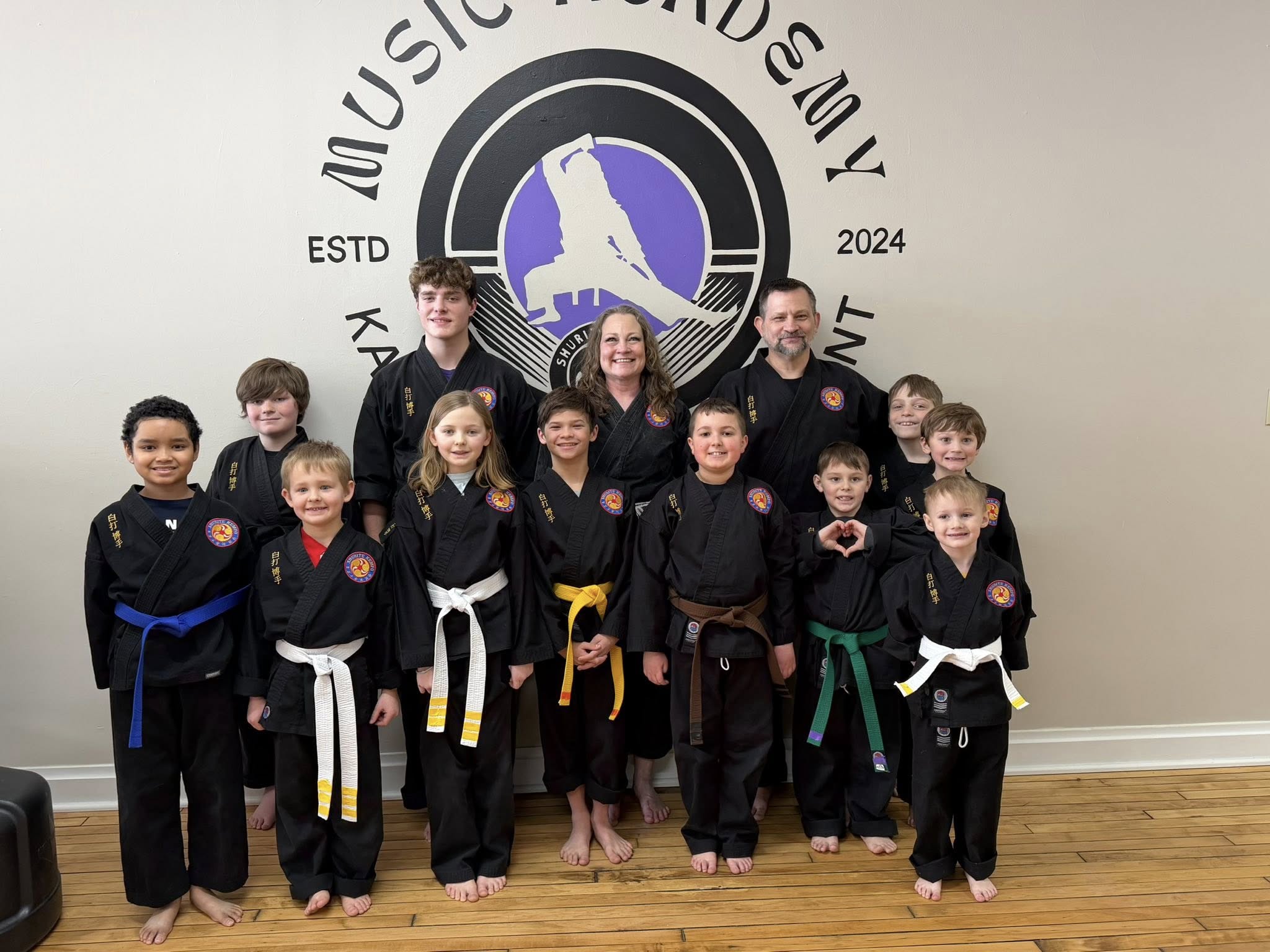 Promotion highlights 2 testing sessions at Music Academy of Karate & Empowerment