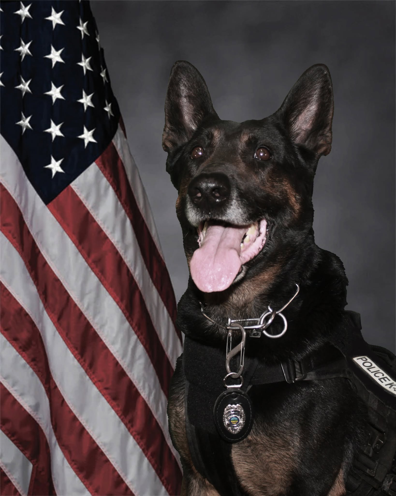 Ontario Police Dept. mourns unexpected passing of K-9 officer Fender