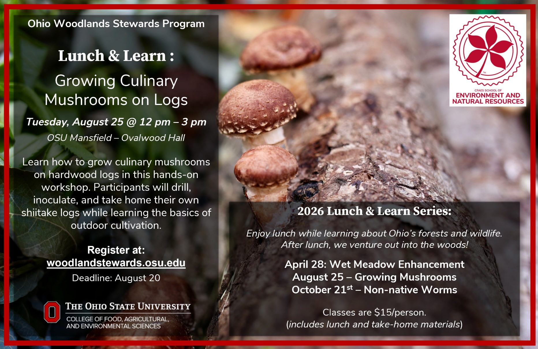 Workshop to grow culinary mushrooms set for Aug. 26 at Ohio State Mansfield