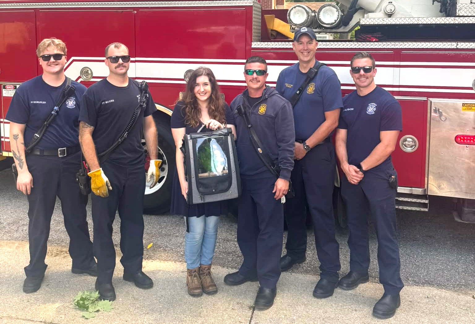Mansfield Fire Department helps rescue parrot from atop tall tree along Shady Lane on Sunday